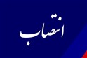 طی حکمی از سوی رئیس هیئت کشتی خوزستان :
